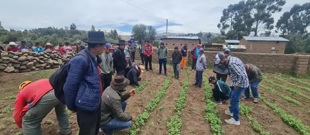 Imagen de Proyecto Conecta - Desarrollo productivo